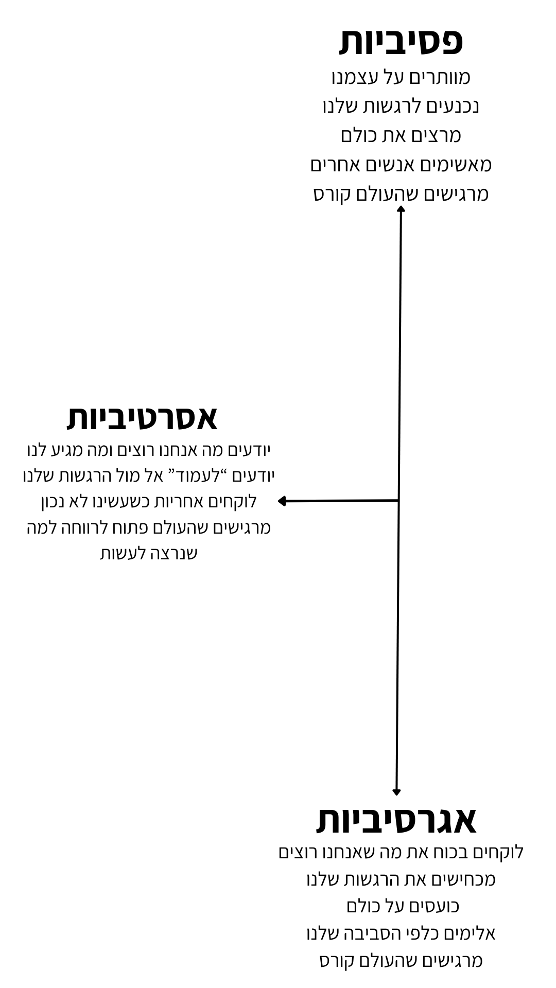עיצוב ללא שם (2)
