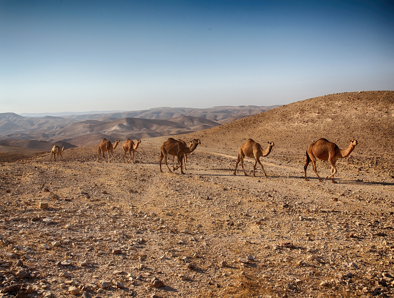 dead-sea-1930707_1280
