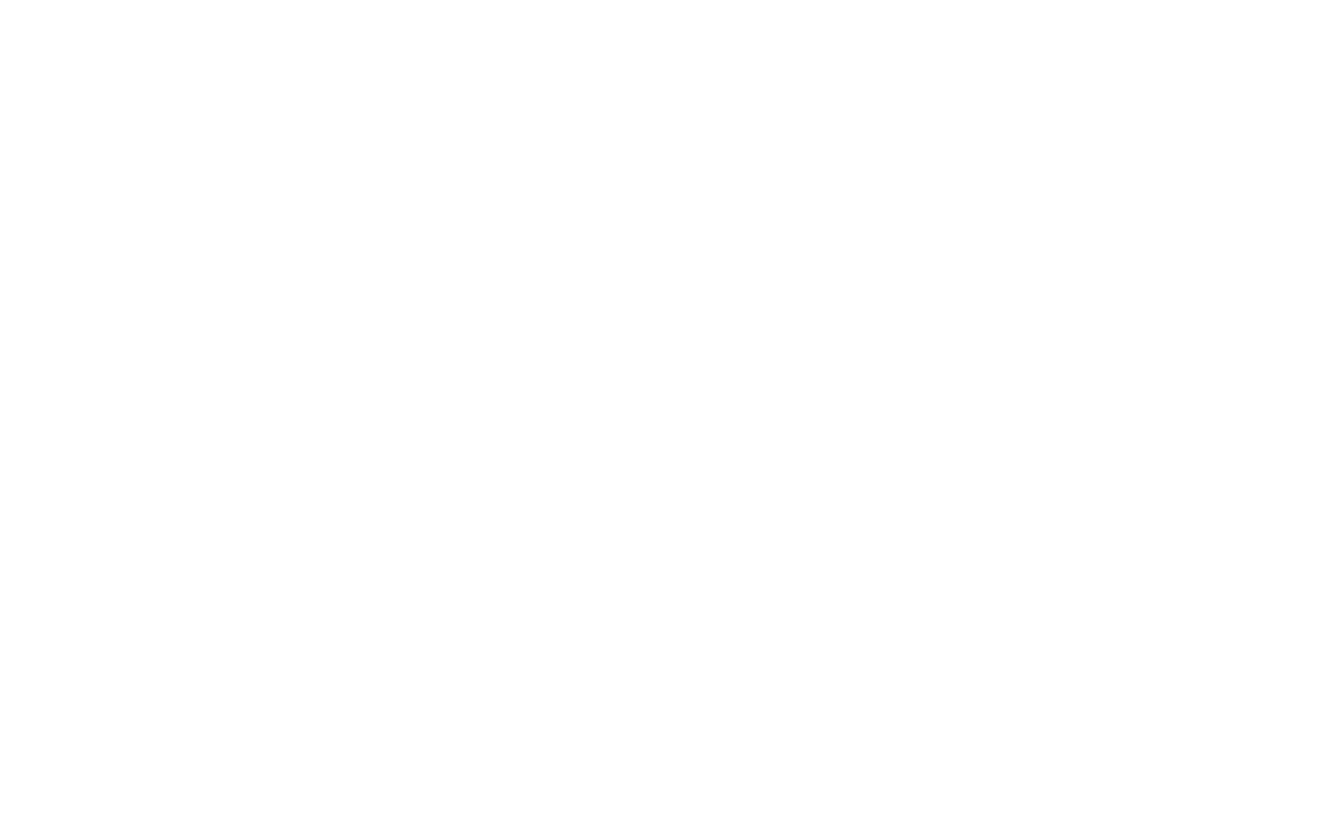 Idan Gadot_logo white